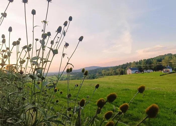 Bieszczadzki Horyzont Apartamenty