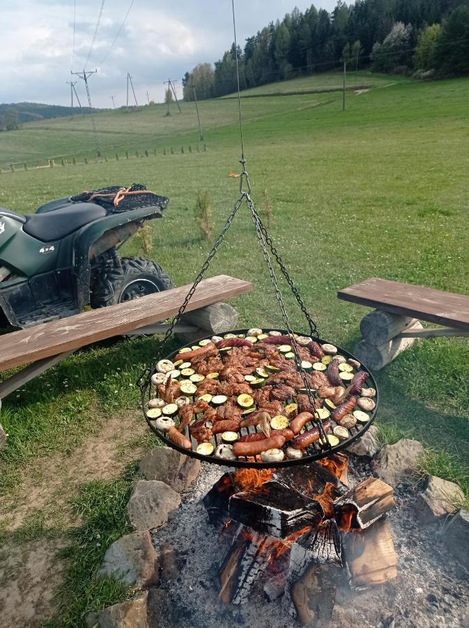Apartment Bieszczadzki Horyzont Polanczyk